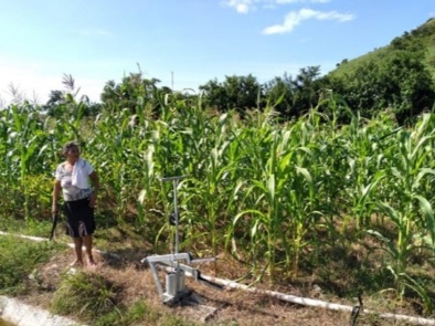 Agroforestry Project
