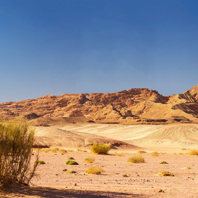 Sinai desert landscape